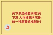 关节液是细胞内液(关节液 人体细胞内液体的一种重要组成部分)