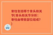 脊柱包括哪个骨头和关节(骨头和关节分析：脊柱由哪些部位组成？)