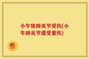 小牛犊蹄关节受伤(小牛蹄关节遭受重伤)