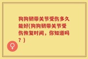狗狗韧带关节受伤多久能好(狗狗韧带关节受伤恢复时间，你知道吗？)