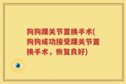 狗狗踝关节置换手术(狗狗成功接受踝关节置换手术，恢复良好)