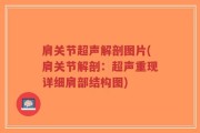 肩关节超声解剖图片(肩关节解剖：超声重现详细肩部结构图)