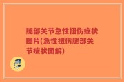 腿部关节急性扭伤症状图片(急性扭伤腿部关节症状图解)