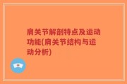 肩关节解剖特点及运动功能(肩关节结构与运动分析)