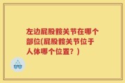左边屁股髋关节在哪个部位(屁股髋关节位于人体哪个位置？)