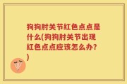 狗狗肘关节红色点点是什么(狗狗肘关节出现红色点点应该怎么办？)