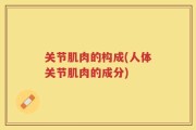 关节肌肉的构成(人体关节肌肉的成分)