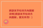 腕部关节松动方向图解说明(腕部关节松动方向图解，图文并茂！)