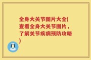 全身大关节图片大全(查看全身大关节图片，了解关节疾病预防攻略)