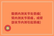 胳膊内测关节处筋痛(臂内测关节筋痛，或臂部关节内测引起筋痛)