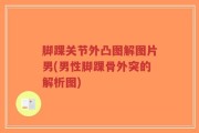 脚踝关节外凸图解图片男(男性脚踝骨外突的解析图)