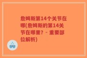 詹姆斯第14个关节在哪(詹姆斯的第14关节在哪里？- 重要部位解析)