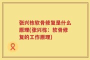 张兴栋软骨修复是什么原理(张兴栋：软骨修复的工作原理)