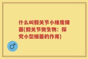 什么叫髋关节小维度细菌(髋关节微生物：探究小型细菌的作用)