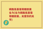 磷酸氨基葡萄糖胶囊 谷力(谷力磷酸氨基葡萄糖胶囊，关爱你的关节)