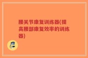 腰关节康复训练器(提高腰部康复效率的训练器)