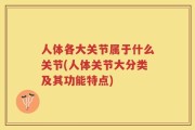 人体各大关节属于什么关节(人体关节大分类及其功能特点)