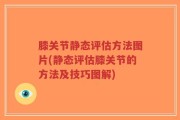 膝关节静态评估方法图片(静态评估膝关节的方法及技巧图解)