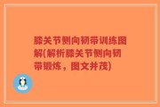 膝关节侧向韧带训练图解(解析膝关节侧向韧带锻炼，图文并茂)