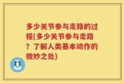 多少关节参与走路的过程(多少关节参与走路？了解人类基本动作的微妙之处)