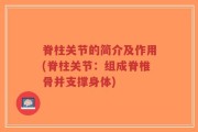 脊柱关节的简介及作用(脊柱关节：组成脊椎骨并支撑身体)