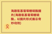 海趣氨基葡萄糖硫酸图片(海趣氨基葡萄糖硫酸，以图片形式展示奇妙功效)