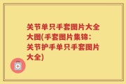 关节单只手套图片大全大图(手套图片集锦：关节护手单只手套图片大全)