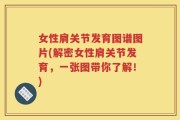 女性肩关节发育图谱图片(解密女性肩关节发育，一张图带你了解！)