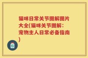 猫咪日常关节图解图片大全(猫咪关节图解：宠物主人日常必备指南)