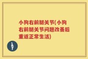 小狗右前腿关节(小狗右前腿关节问题改善后重返正常生活)