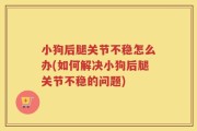 小狗后腿关节不稳怎么办(如何解决小狗后腿关节不稳的问题)
