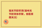 猫关节腔积液(猫咪关节腔液体积聚，兽医提醒关注)