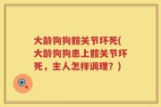 大龄狗狗髋关节坏死(大龄狗狗患上髋关节坏死，主人怎样调理？)