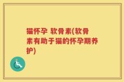 猫怀孕 软骨素(软骨素有助于猫的怀孕期养护)