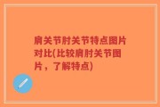 肩关节肘关节特点图片对比(比较肩肘关节图片，了解特点)