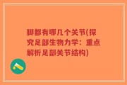 脚都有哪几个关节(探究足部生物力学：重点解析足部关节结构)