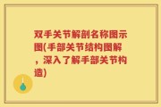 双手关节解剖名称图示图(手部关节结构图解，深入了解手部关节构造)