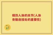 模仿人体的关节(人体骨骼连接处的重要性)