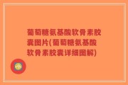 葡萄糖氨基酸软骨素胶囊图片(葡萄糖氨基酸软骨素胶囊详细图解)