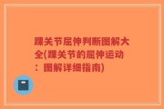 踝关节屈伸判断图解大全(踝关节的屈伸运动：图解详细指南)