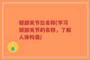 腿部关节位名称(学习腿部关节的名称，了解人体构造)