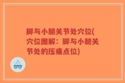 脚与小腿关节处穴位(穴位图解：脚与小腿关节处的压痛点位)
