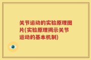 关节运动的实验原理图片(实验原理揭示关节运动的基本机制)