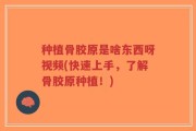 种植骨胶原是啥东西呀视频(快速上手，了解骨胶原种植！)