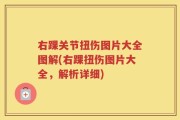 右踝关节扭伤图片大全图解(右踝扭伤图片大全，解析详细)