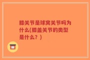 膝关节是球窝关节吗为什么(膝盖关节的类型是什么？)