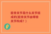 胫骨关节是什么关节组成的(胫骨关节由哪些关节构成？)