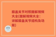 膝盖关节对照图解视频大全(图解视频大全：详解膝盖关节结构及功能)