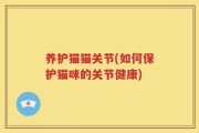 养护猫猫关节(如何保护猫咪的关节健康)