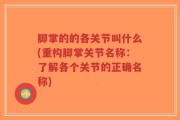 脚掌的的各关节叫什么(重构脚掌关节名称：了解各个关节的正确名称)